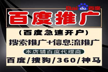 行业专家眼中的SEM竞价培训：成功要素与挑战